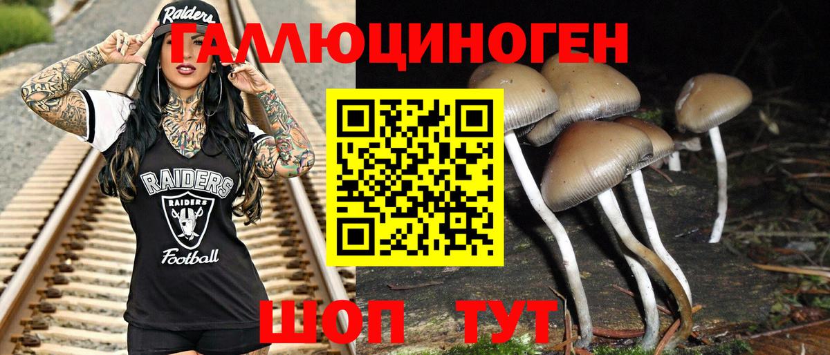 Псилоцибиновые грибы прущие грибы Полысаево